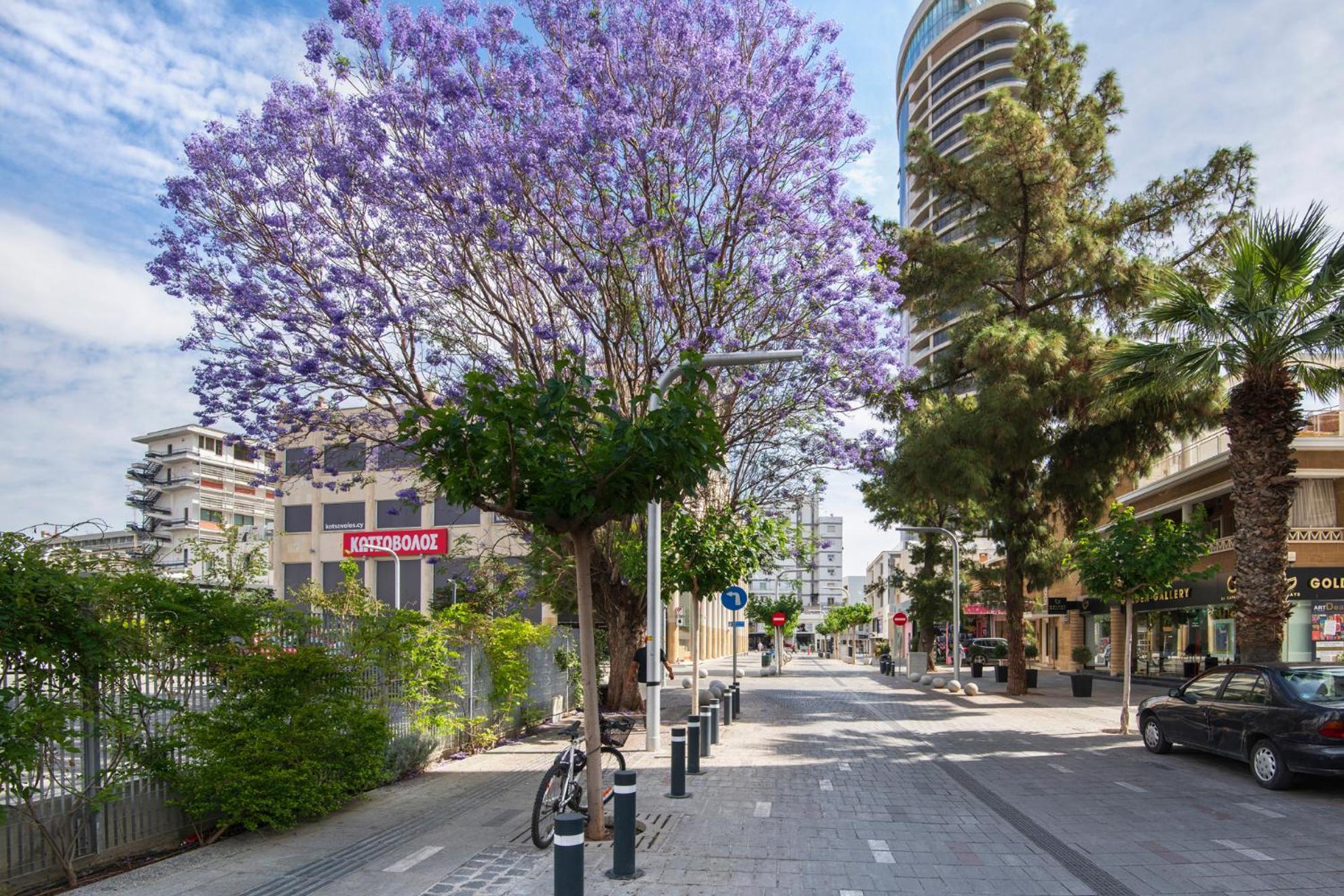 Urban Condo 10 - 2 Bdr Nicosia Luaran gambar